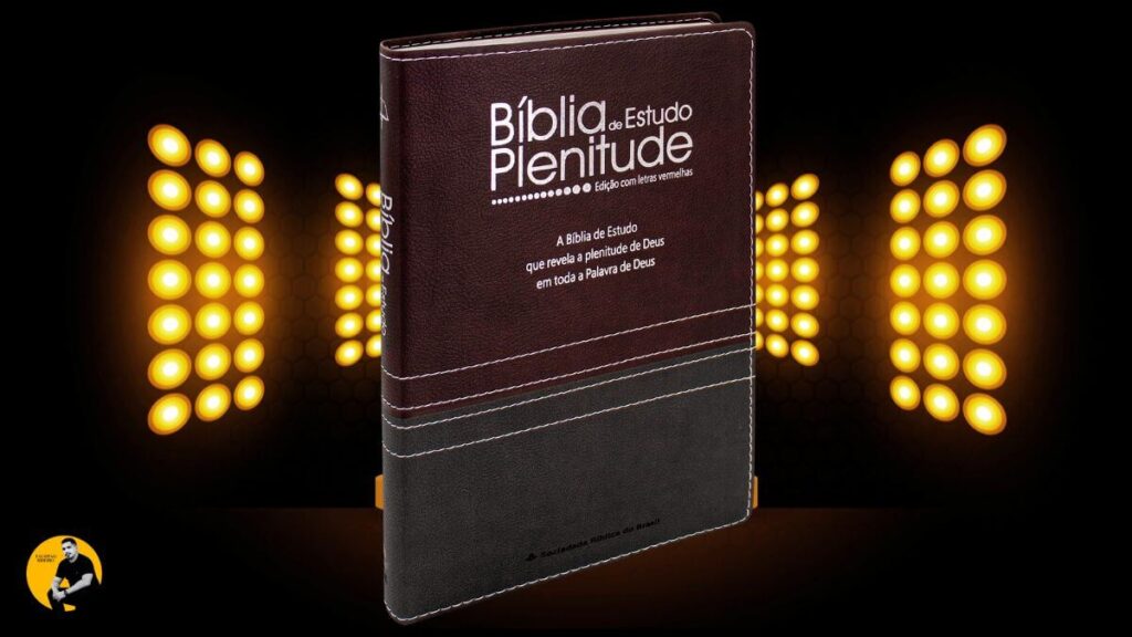 As 7 Melhores Bíblias